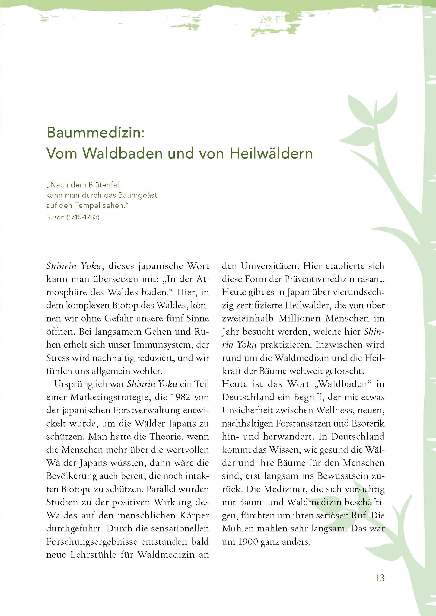 Baummedizin – Die heilende Kraft der Wald-Öle